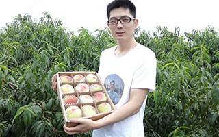 狗子28设计和蜜桃哥走过了三年·····