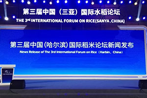 狗子28设计&amp;第三届国际水稻博览会·三亚