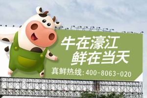 狗子28设计与澳士兰的故事（完善版）