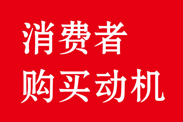 消费者购买动机分析·狗子28品牌策划设计