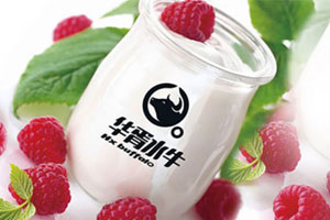 水牛奶品牌设计案例x狗子28设计