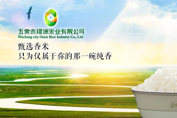 狗子28设计再次携手绿洲米业