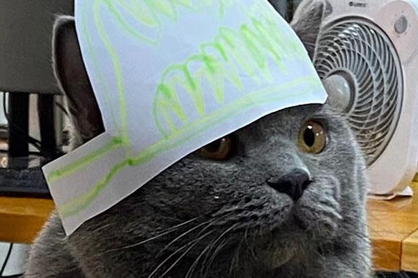 狗子28设计总监武相成观点